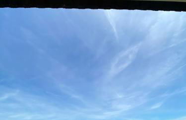 Lugar do Pombal - Foto 10