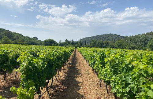 La Manaude - Photo 40