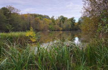 Chateau Chandler 17eme, Vallee de la Loire, Sologne, Centre Val de Loire - Foto 21