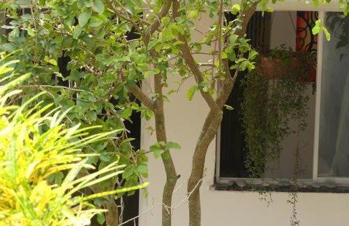 Tiny House Rio - Foto 18