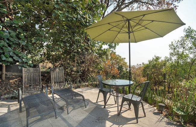 Bosque Geométrico - Foto 54