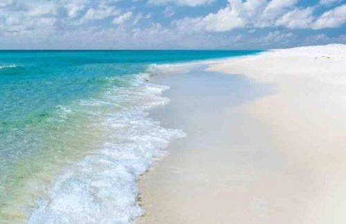 Walk to downtown seafood market Bay views - Foto 30