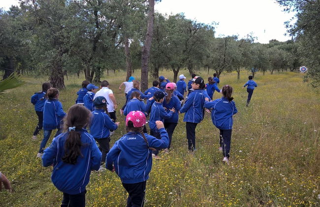 Bioagriturismo Masseria Sciaiani Piccola - Photo 32