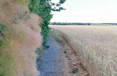 Les Gîtes de Genas - Foto 72