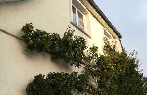 Ferienwohnung Fischerstieg - Foto 25