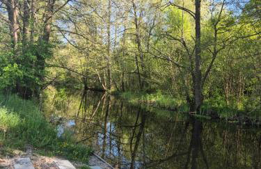 Tajnikowo Sekretny Tiny House Anyżek - Foto 10