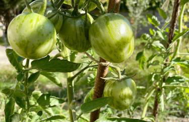 Jardin Vert - Maison Familiale Paris Sud - Foto 12