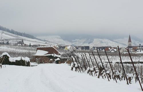 Gîte des Seigneurs - Foto 10