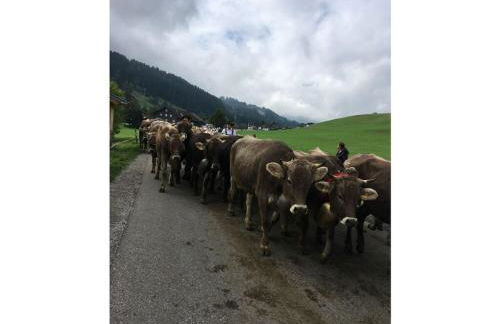 Holiday Apartment Rosi Denz - Foto 41