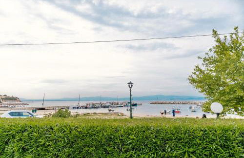 Seashell by halu! - Foto 22