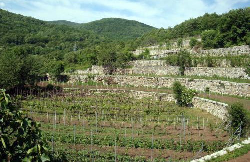 Apartment Luno - Foto 52