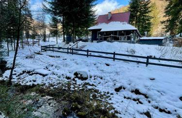 Piwniczna 187 - Vintage House - Foto 63