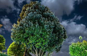 BorgoCuore - Foto 66