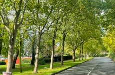 J&J stays 5 bedroom detached house in Peterborough with parking - Photo 64