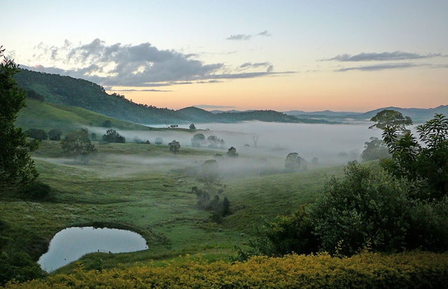 Dayboro Cottages - Photo 33