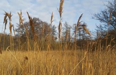 Förde Koje - Foto 30