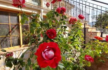 Casas Rurales Cerro Lobo - Foto 52