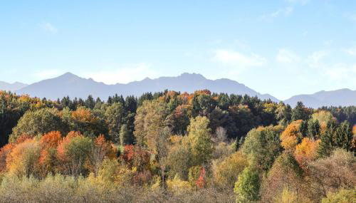 Ferienwohnung Parzinger - Foto 2