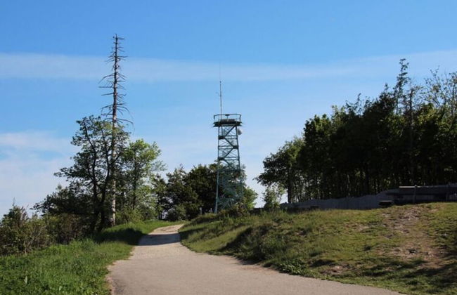 Apartment at the Edge of the Forest - Foto 30