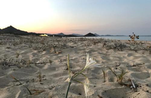 Villa Marianna - Foto 21