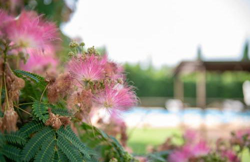 Appartamento Fattoria - Foto 28