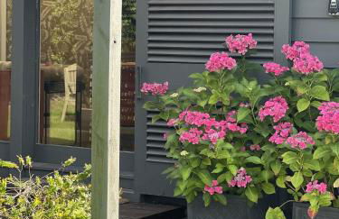 The Artist's Studio - Foto 26