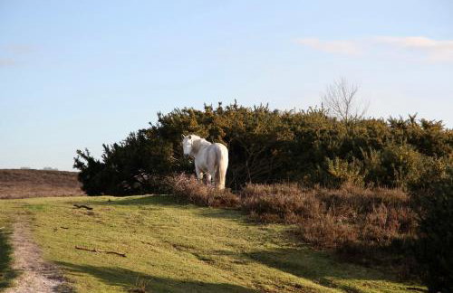 Stable Cottage - Photo 33