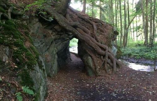 Wohnen im alten Kornspeicher - Foto 23