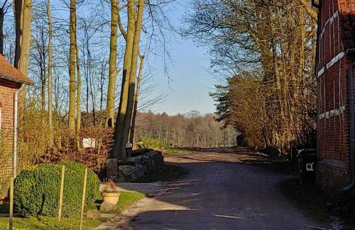 Gut Hohenstein - Stellmacherhaus - Foto 6