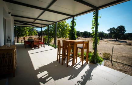 Herdade dos Alfanges "THE BARN" - Foto 11