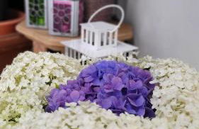 Biggy's Apartment - Foto 37