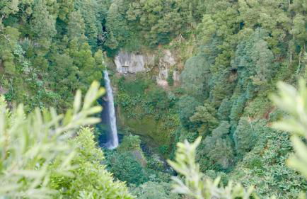 Quinta da Espadana - Photo 55