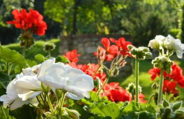 Agriturismo Campo al Sole - Foto 46