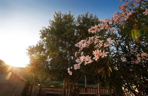 Casa Amado, Aldeia da Pedralva - Photo 28