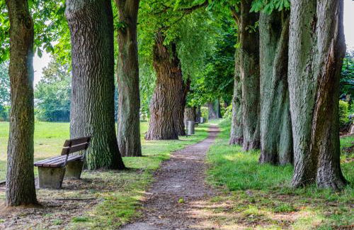 Ferienwohnung Hafenliebe, Villa Vilmblick mit Meerblick - Foto 22