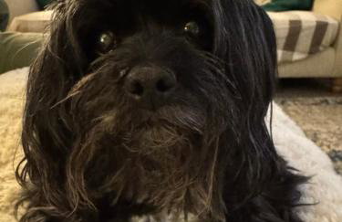 Sugar Brook Retreat - Foto 9