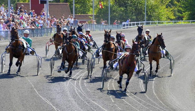 2 Person Holiday Home in Aakirkeby - Foto 5, Jardines del alojamiento