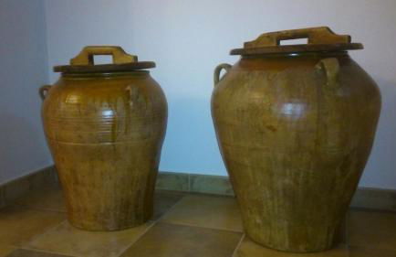 Apartamentos San Gregorio - Photo 10