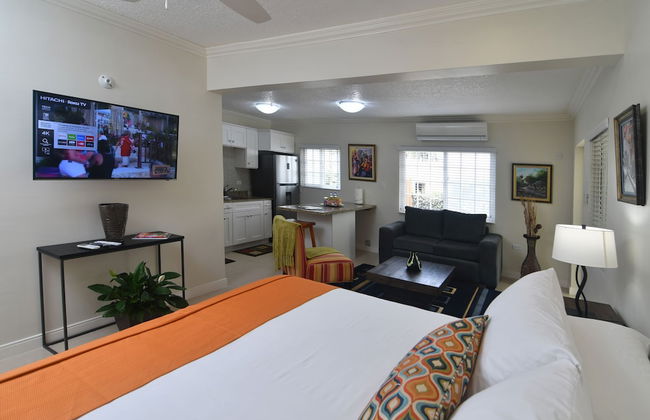 Centrally Located Guest Apartments III - Photo 10