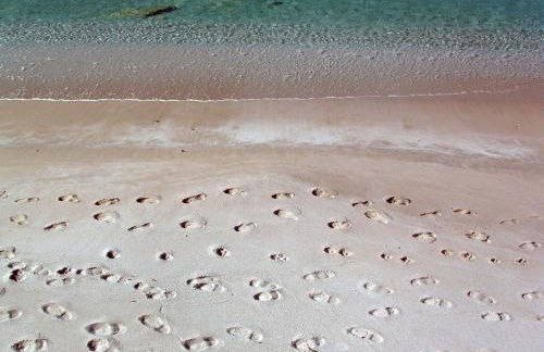 Albergo Residenziale Menhirs - Foto 18