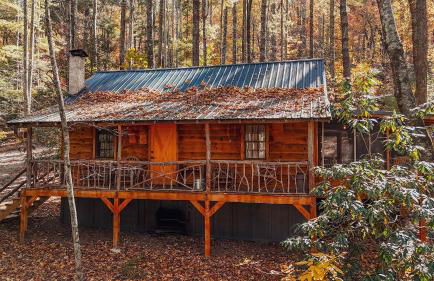 South Fork cabin at Cabin Fever in NC - Foto 1