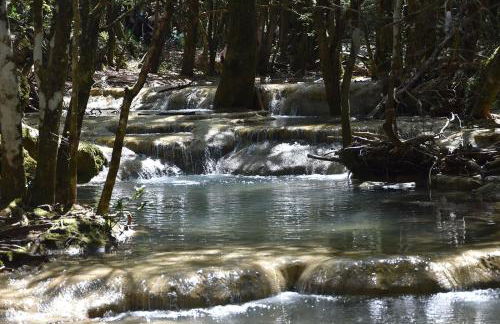 Lou Pauseto - Foto 28