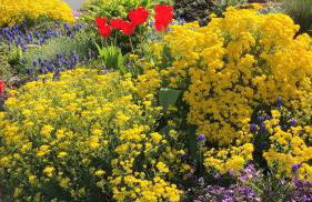 Ferienwohnung Pasek - Foto 37