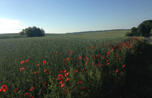 Ferienwohnung Mohnblume - Photo 29