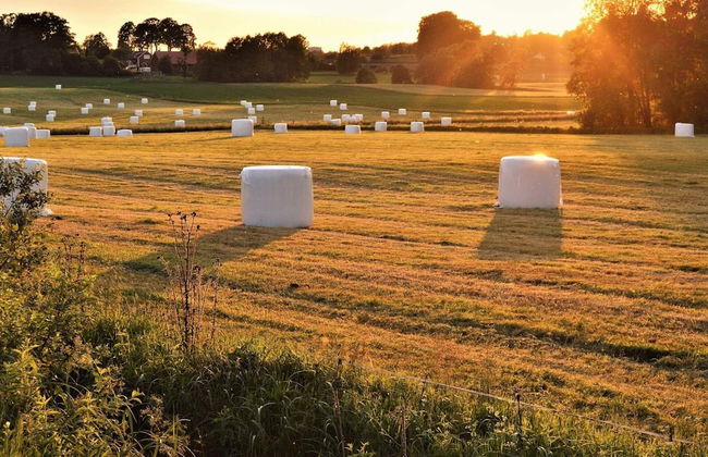 Holiday Home in Smaland Countryside - Foto 50