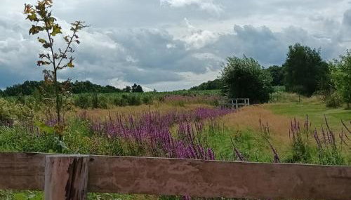 E Berry Farm - Slow life home - Foto 2