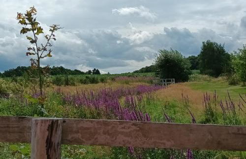 E Berry Farm - Slow life home - Foto 2