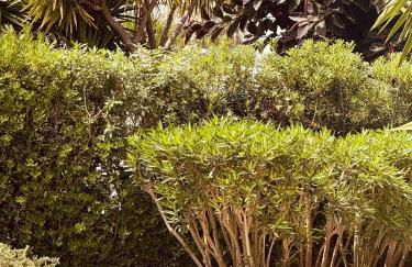 Luxus Villa direkt am Meer - Foto 7