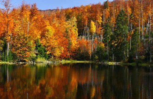 Landhaus Friedl - Foto 34