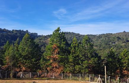 Chalé Luz do Luar Romantismo e uma linda vista - Photo 7